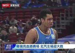 热刺大胜克里斯塔宾宴，继续良好表现(佐加顿斯主场赢球热刺有望取得大胜)