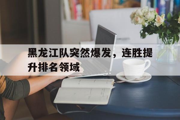 c7娱乐下载-黑龙江队突然爆发，连胜提升排名领域的简单介绍