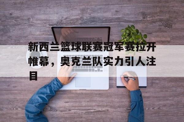 c7娱乐官网-关于新西兰篮球联赛冠军赛拉开帷幕，奥克兰队实力引人注目的信息